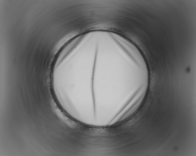 X0000116601042200912312053