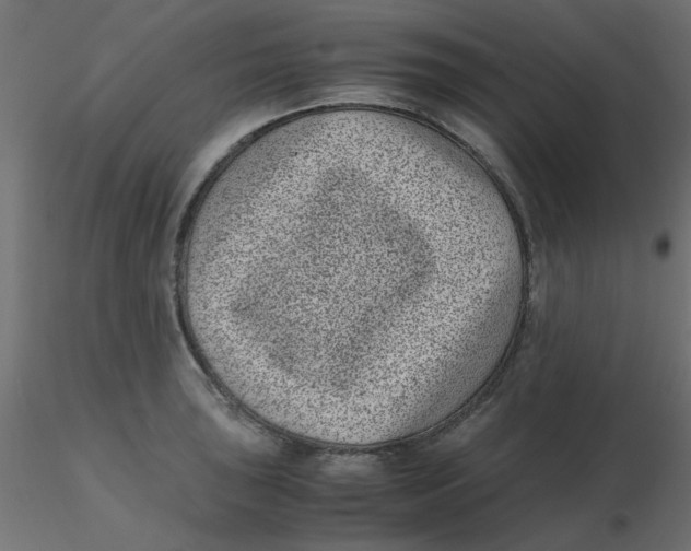 X0000116601043200912312053