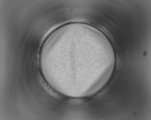 X0000116601044200912312053