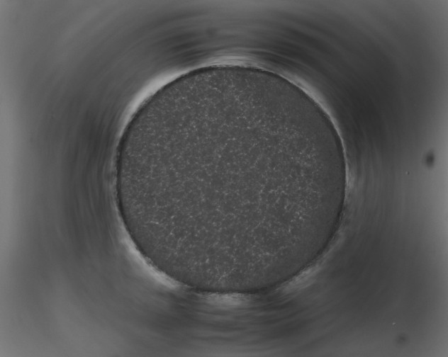 X0000116601045200912312053