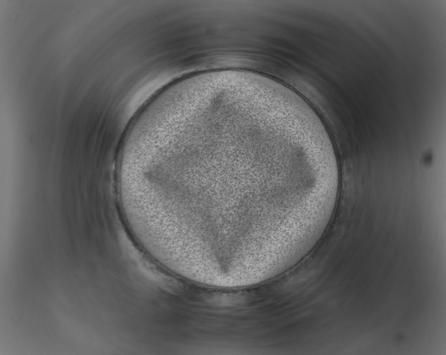 X0000116601047200912312053