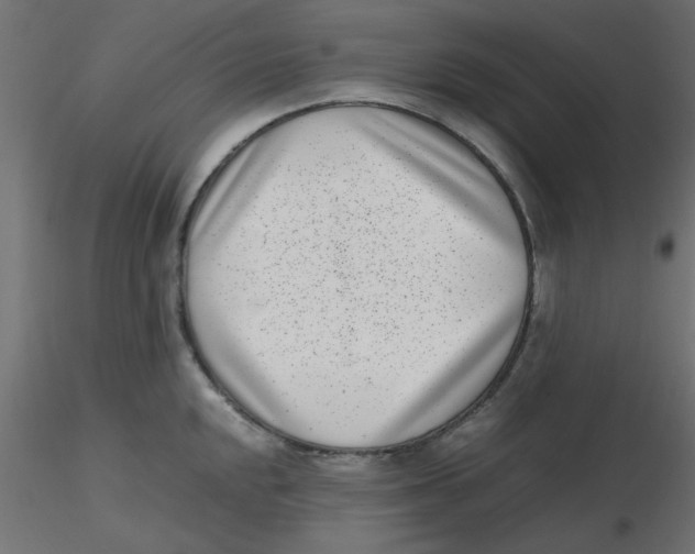 X0000116601048200912312053