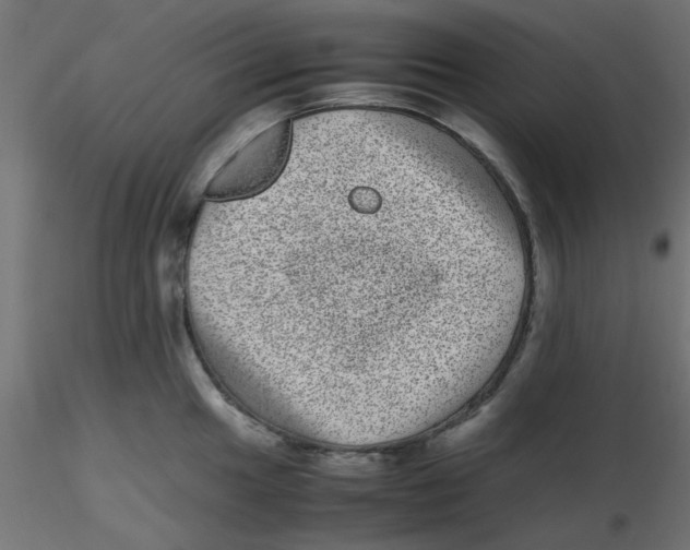 X0000116601049200912312053