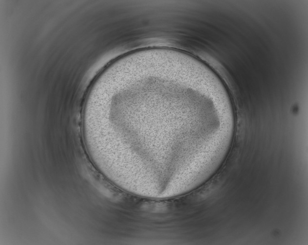 X0000116601051200912312053