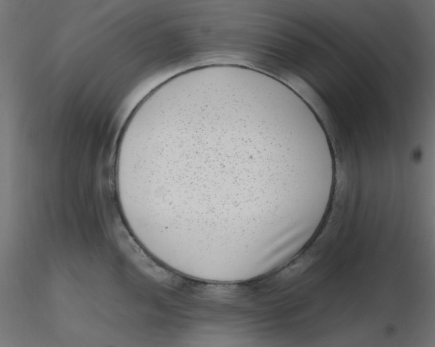 X0000116601052200912312053