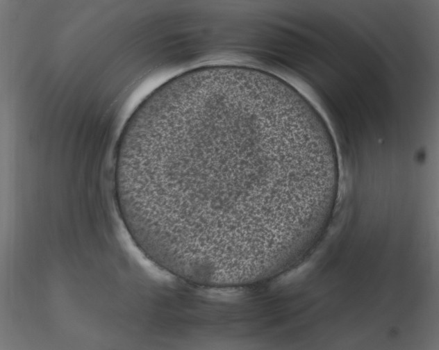 X0000116601053200912312053