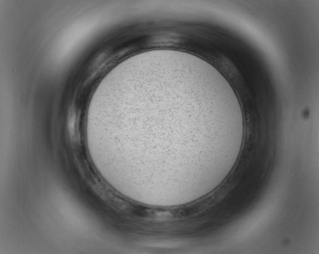 X0000116601054200912312053