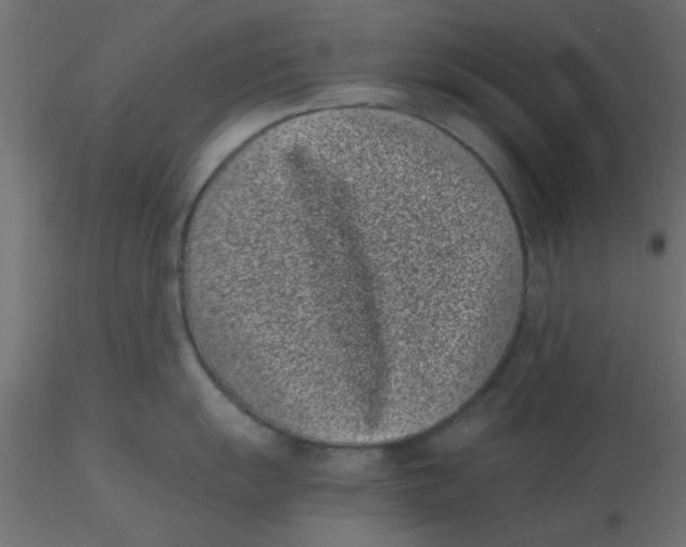 X0000116601055200912312053