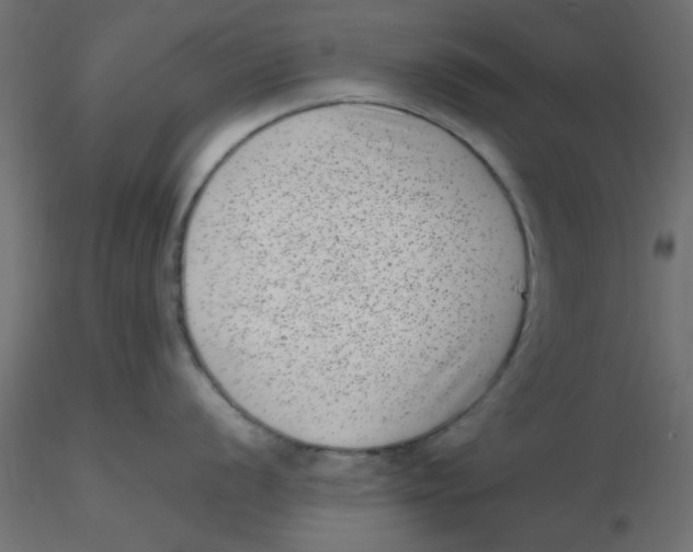 X0000116601056200912312053