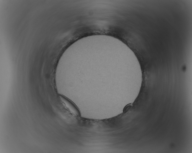 X0000116601057200912312052