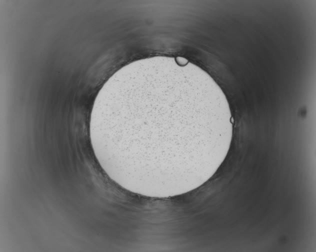 X0000116601058200912312052