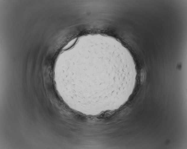 X0000116601059200912312052