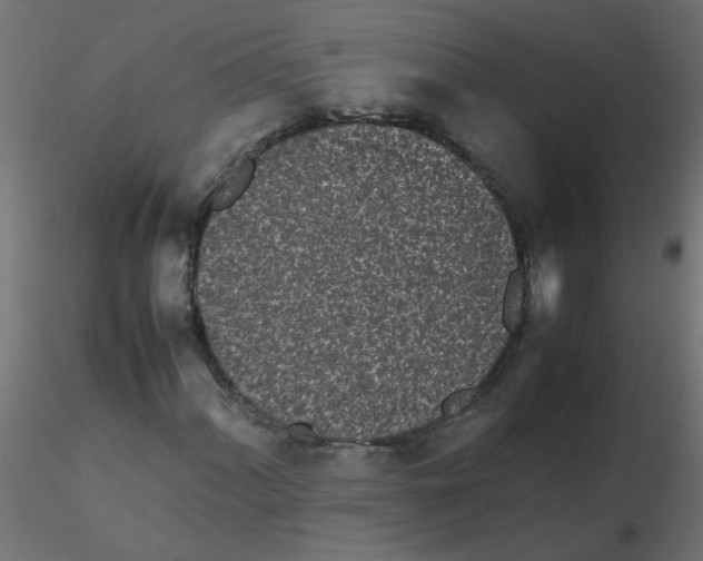 X0000116601060200912312052