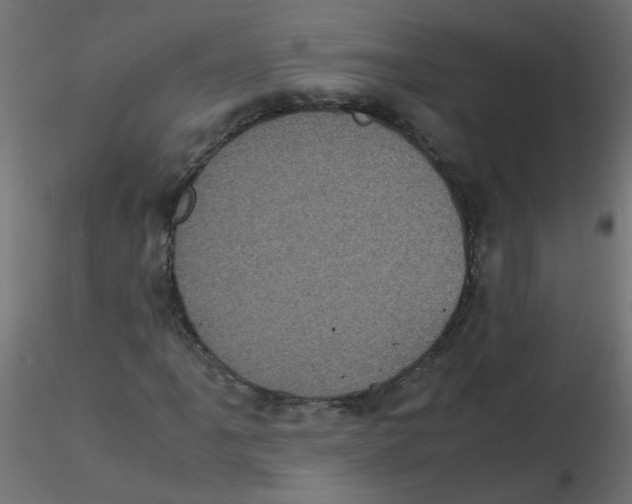 X0000116601061200912312052