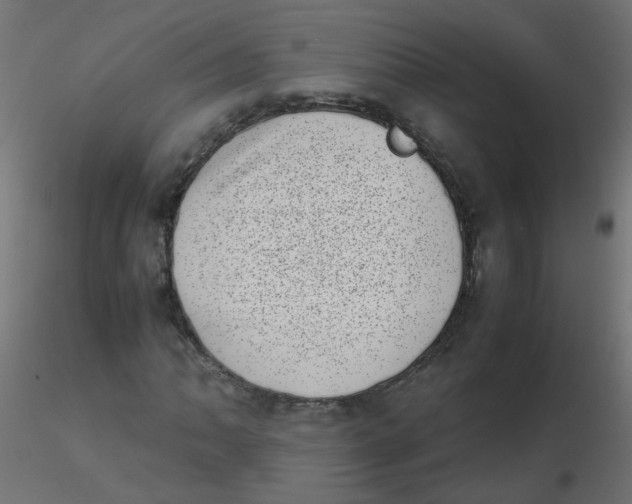 X0000116601062200912312052