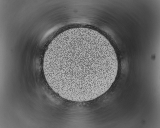 X0000116601064200912312052