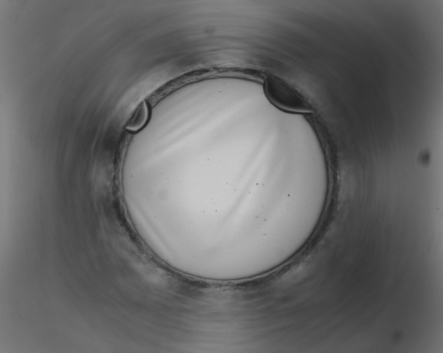 X0000116601065200912312052