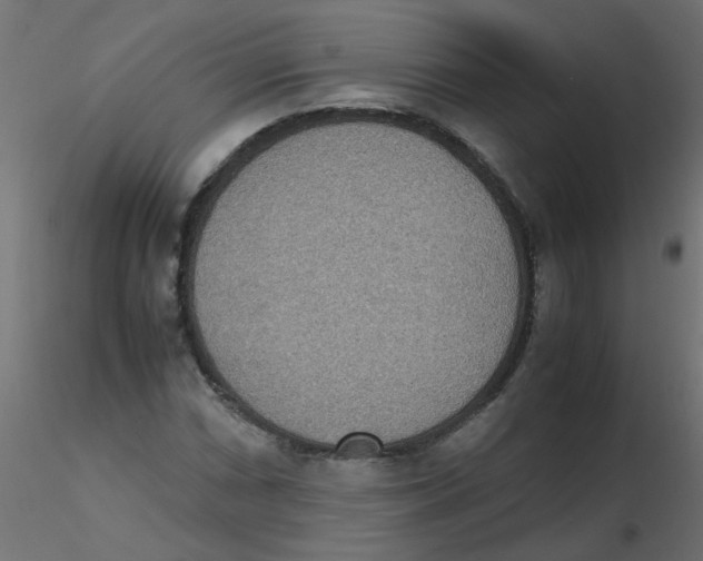 X0000116601066200912312052