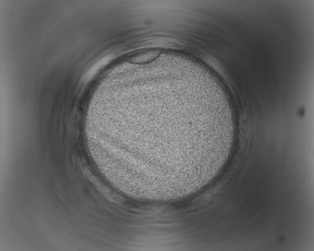 X0000116601067200912312052