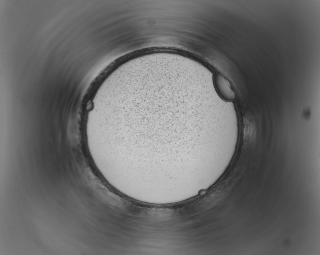 X0000116601068200912312052