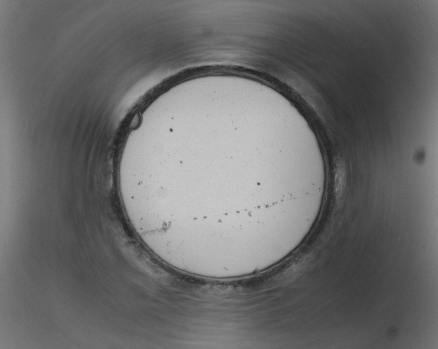 X0000116601069200912312052