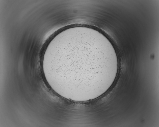 X0000116601070200912312052