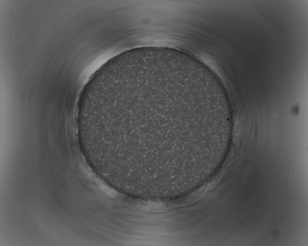 X0000116601071200912312052