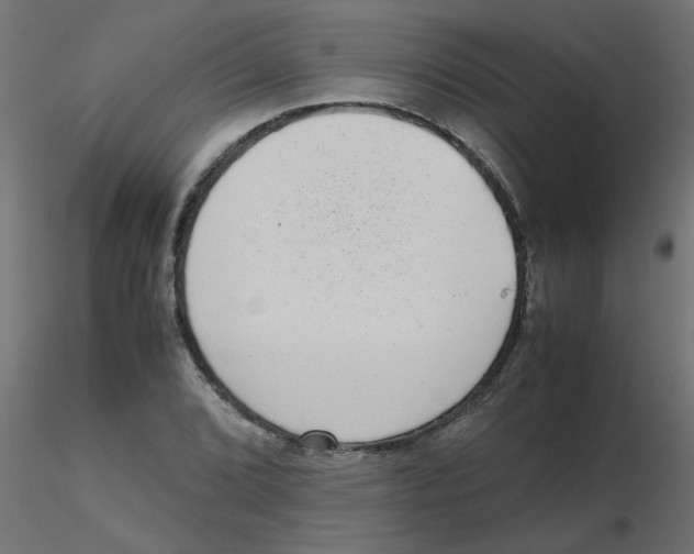 X0000116601072200912312052