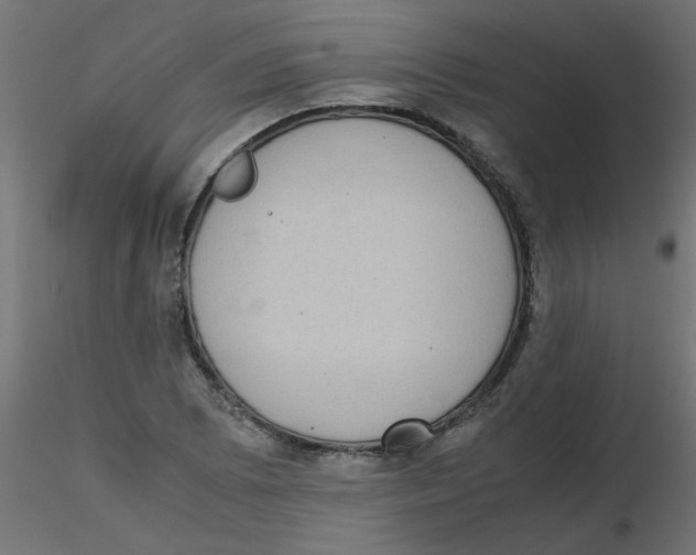 X0000116601073200912312052