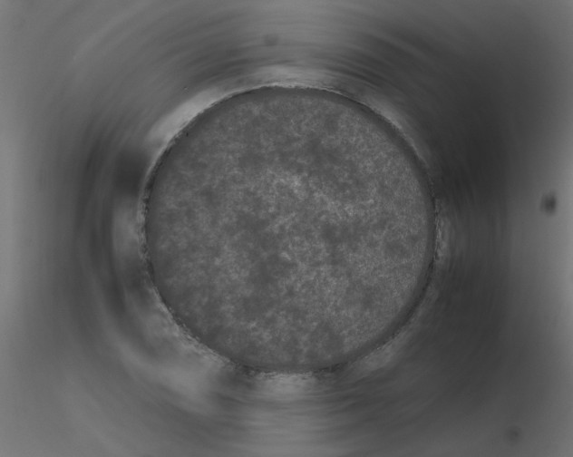 X0000116601074200912312052