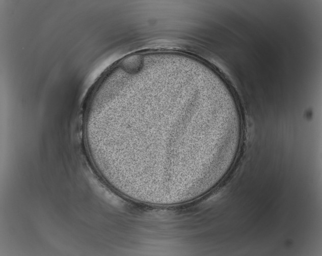 X0000116601075200912312052