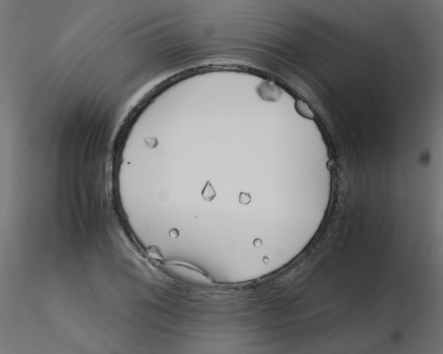 X0000116601076200912312052