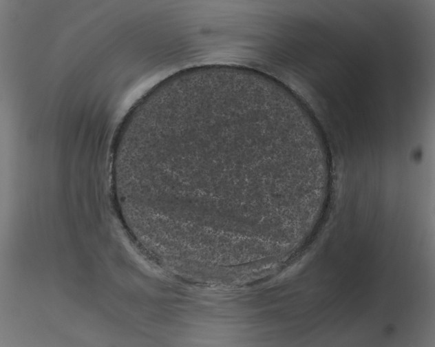 X0000116601077200912312052