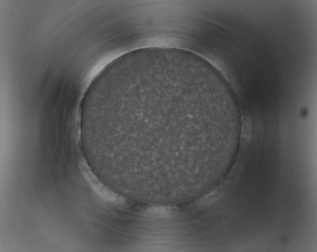 X0000116601078200912312052