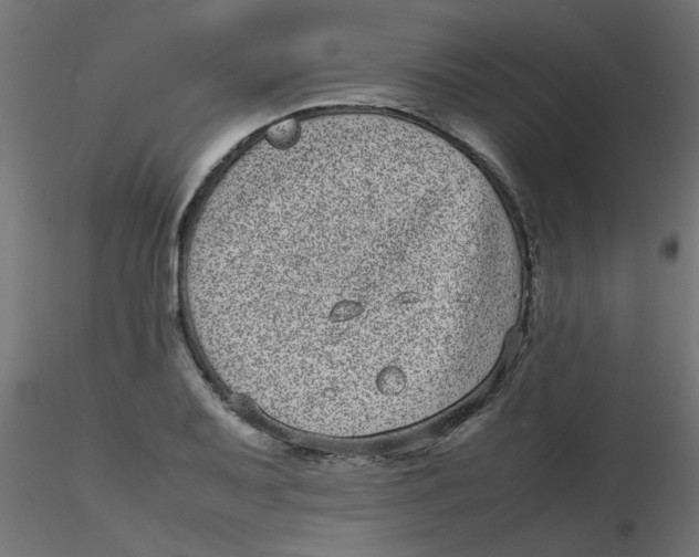 X0000116601079200912312052