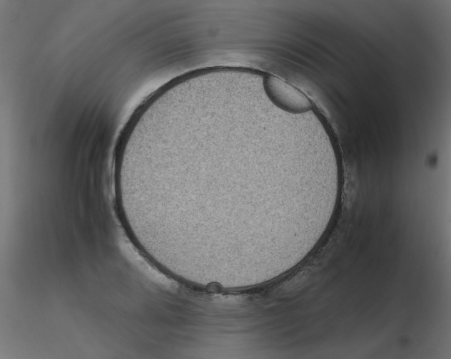 X0000116601080200912312052