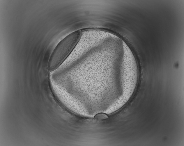 X0000116601081200912312052