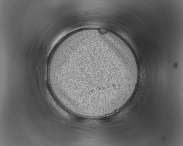 X0000116601083200912312052