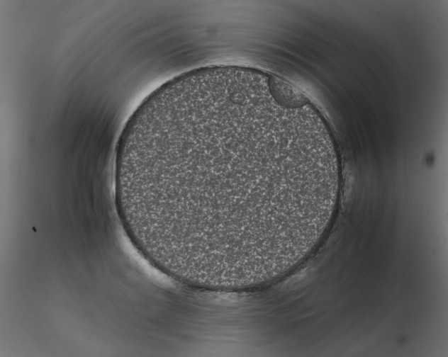 X0000116601084200912312052