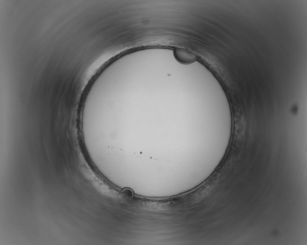 X0000116601086200912312052