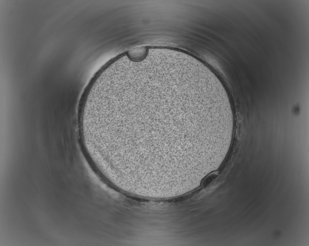 X0000116601087200912312052