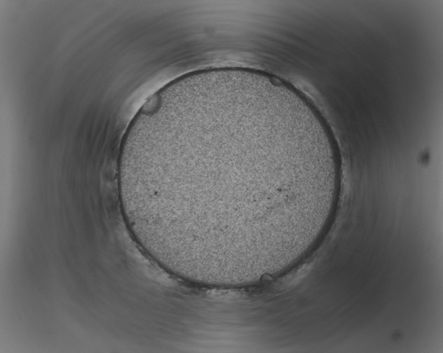 X0000116601089200912312052