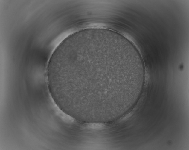 X0000116601090200912312052