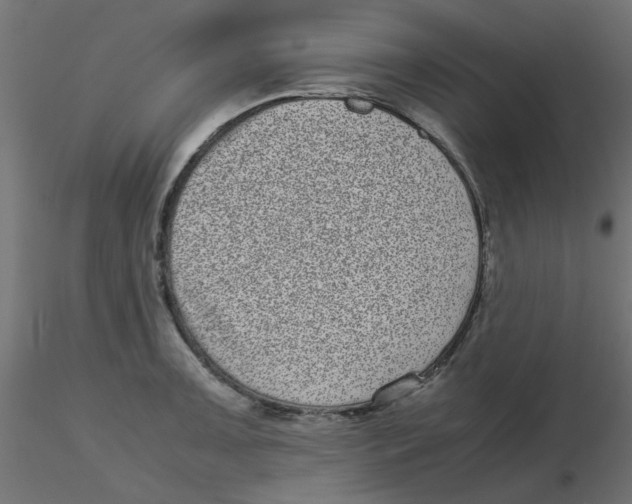 X0000116601091200912312052