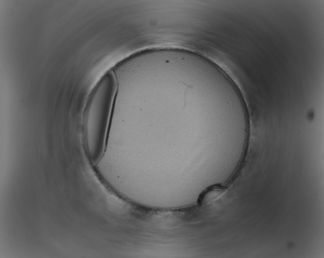 X0000116601093200912312052