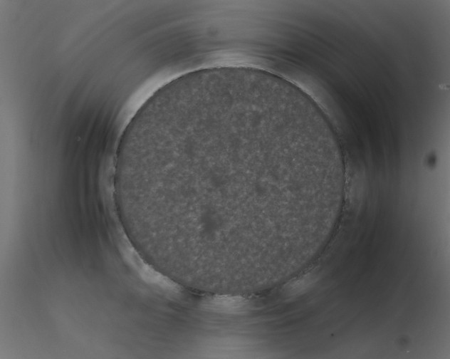 X0000116601094200912312052