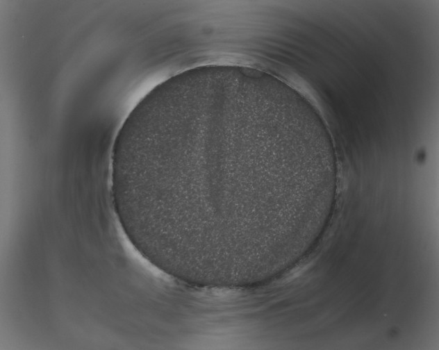 X0000116601095200912312052