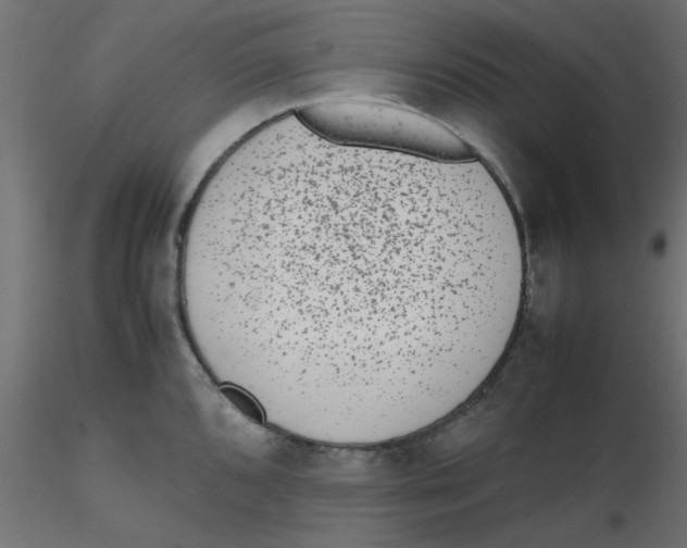 X0000116601096200912312052