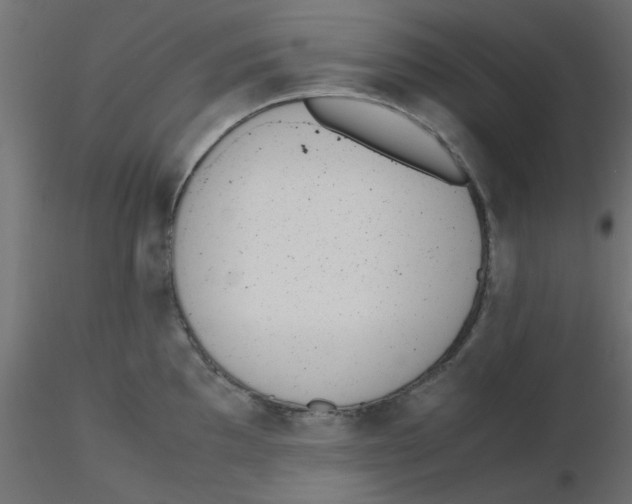 X0000116601097200912312052