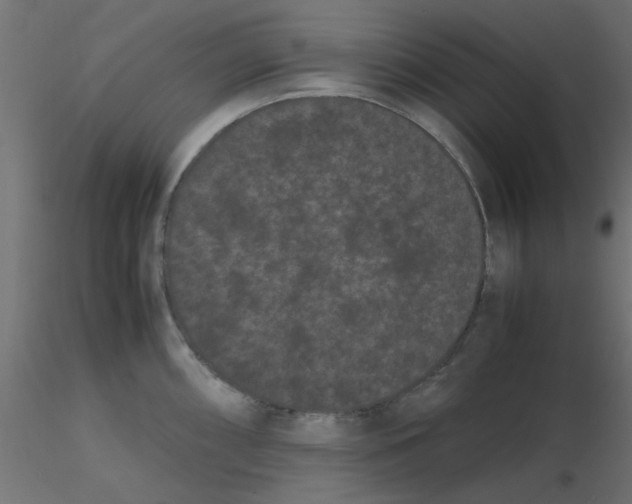 X0000116601098200912312052